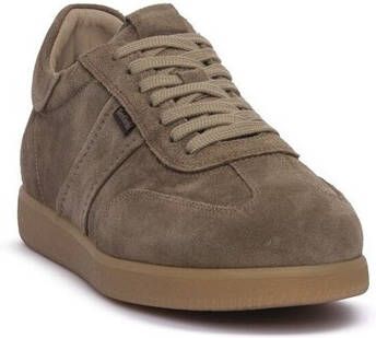 NeroGiardini Sneakers NERO GIARDINI 501 AROLD VELO TALPA
