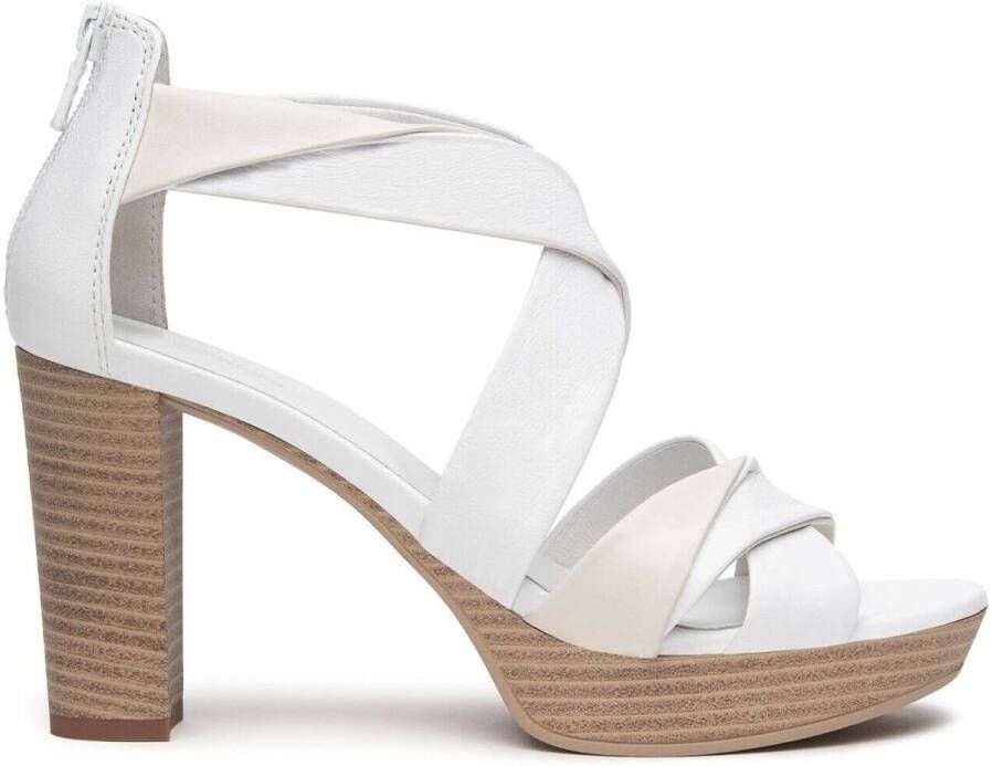 NeroGiardini Pumps