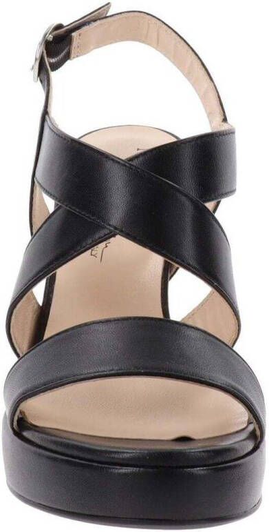 NeroGiardini Pumps E513161DE
