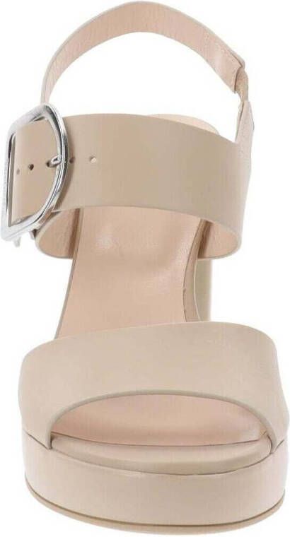 NeroGiardini Pumps E513354D