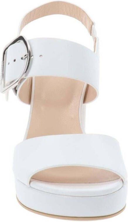 NeroGiardini Pumps E513354D