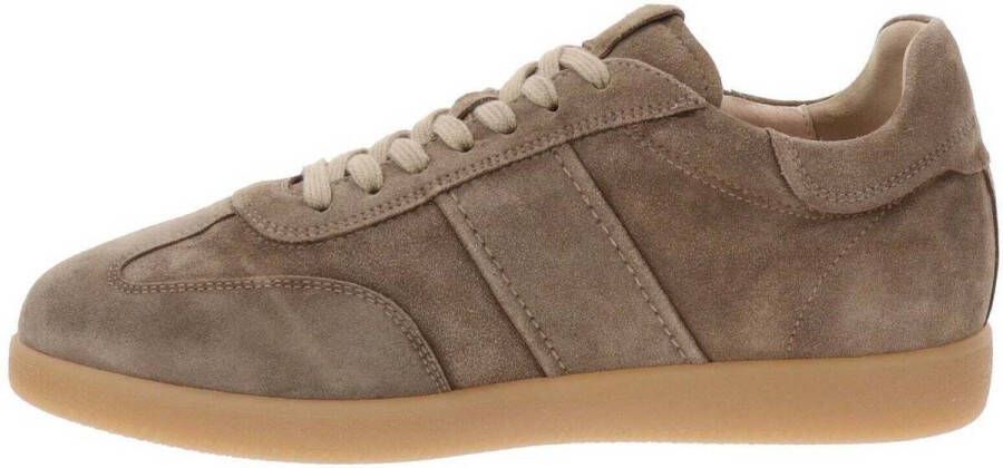 NeroGiardini Sneakers E500685U