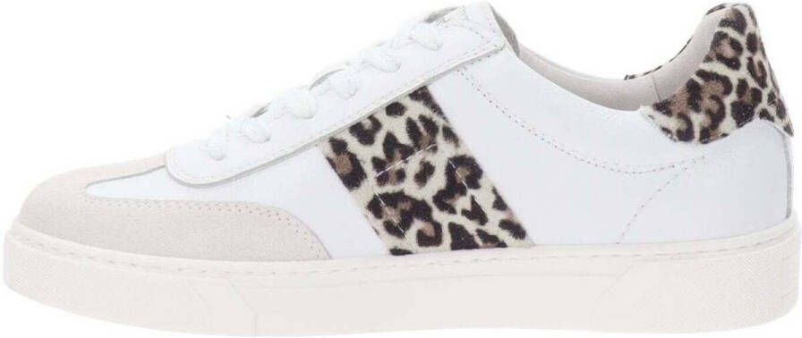 NeroGiardini Sneakers NERO GIARDINI 730 NEVE CILE