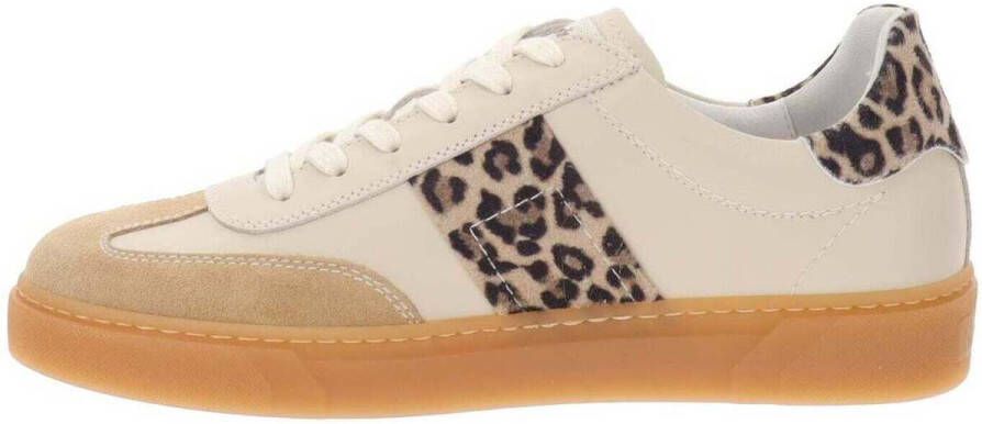 NeroGiardini Sneakers E513007D