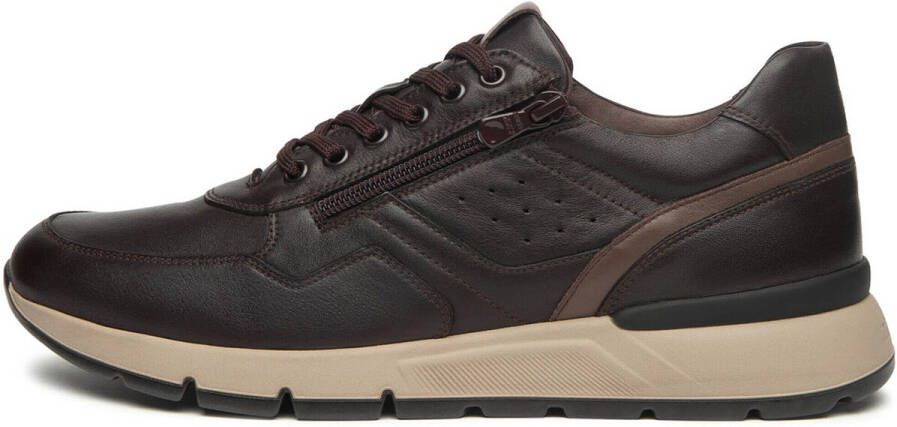 NeroGiardini Sneakers Savana Sauvage Taupe Pu.Bidens.Poggio B16 Streetwear Volwassen - Foto 2