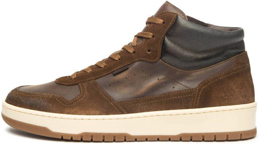 NeroGiardini Sneakers Velour Noxos Delave' Dollarino 367 Tr Fo
