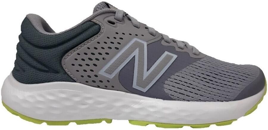 New Balance Lage Sneakers 520