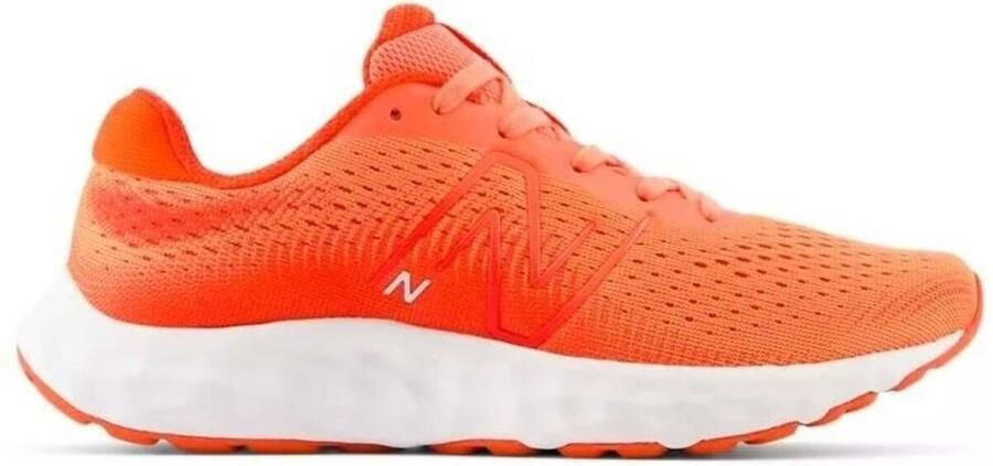 New Balance Lage Sneakers W520RO8