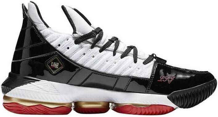 Nike Basketbalschoenen Lebron Xvi SB