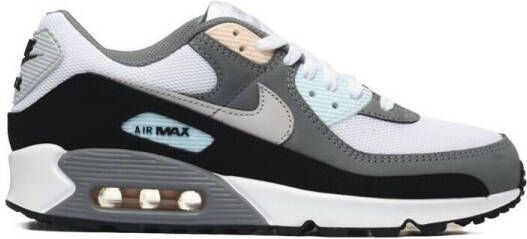 Nike Lage Sneakers Air Max 90