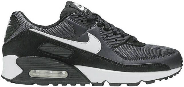 Nike Lage Sneakers Air Max 90 Iron Grey