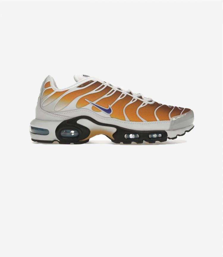 Nike Lage Sneakers Air Max Plus One Block Down Chutney