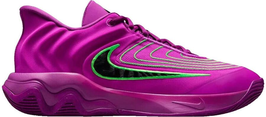 Nike Basketbalschoenen Baskets giannis immortality 4 multicolor