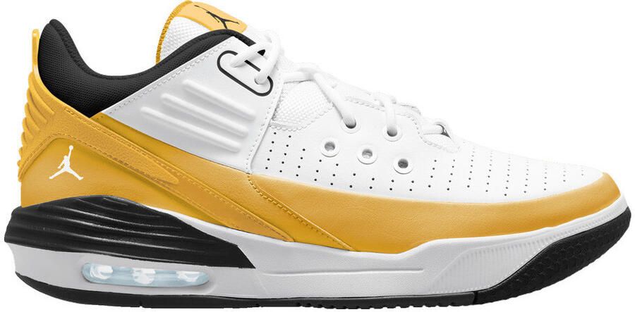 Nike Basketbalschoenen Baskets max aura 5 cuir