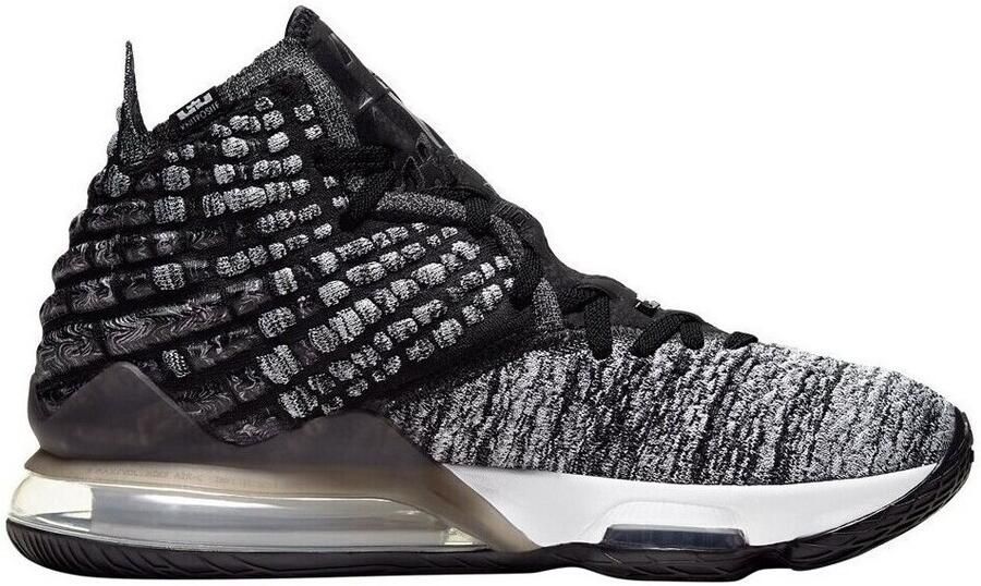 Nike Basketbalschoenen Lebron Xvii