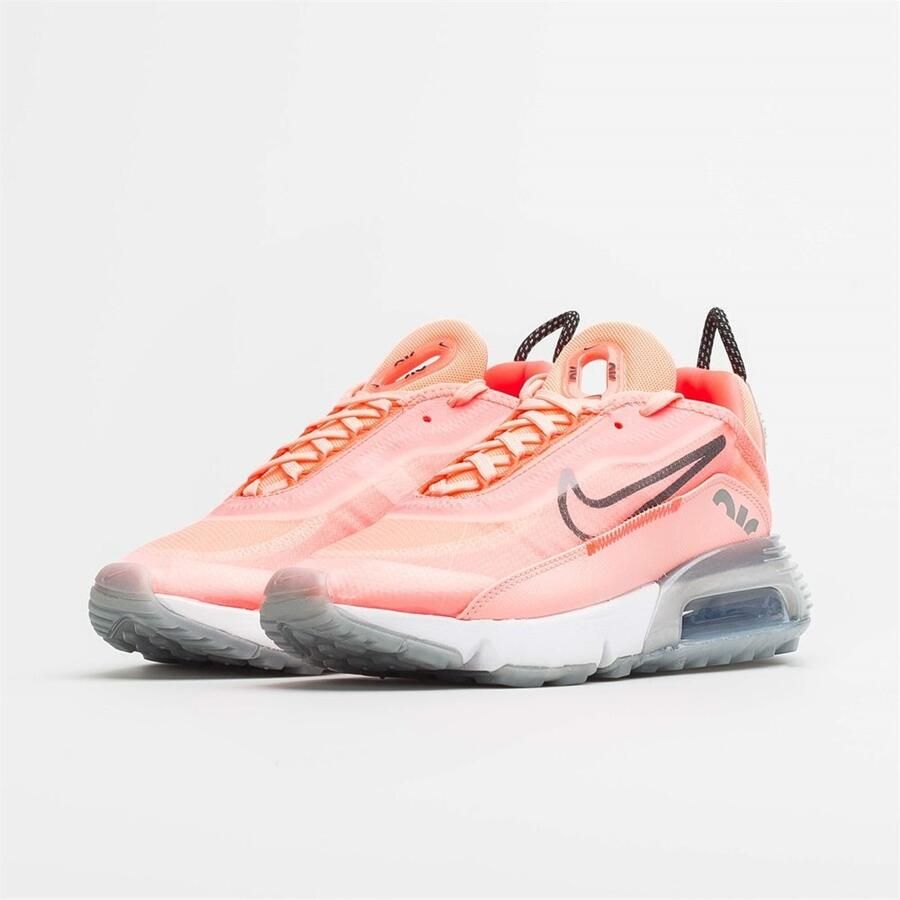 Nike Air Max 2090 Dames Pink Black Dames