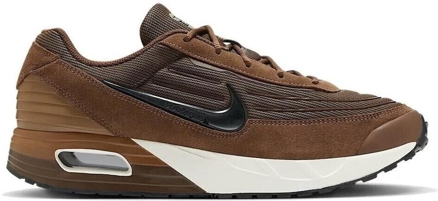 Nike Lage Sneakers Air Max