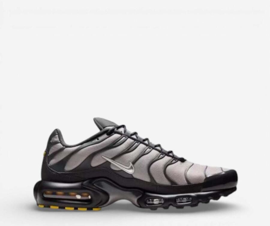 Nike Lage Sneakers Air Max Plus Cordura 'Dark Smoke Grey'