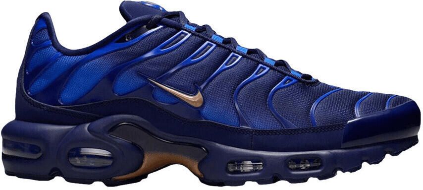 Nike Lage Sneakers Air Max Plus French Football Federation