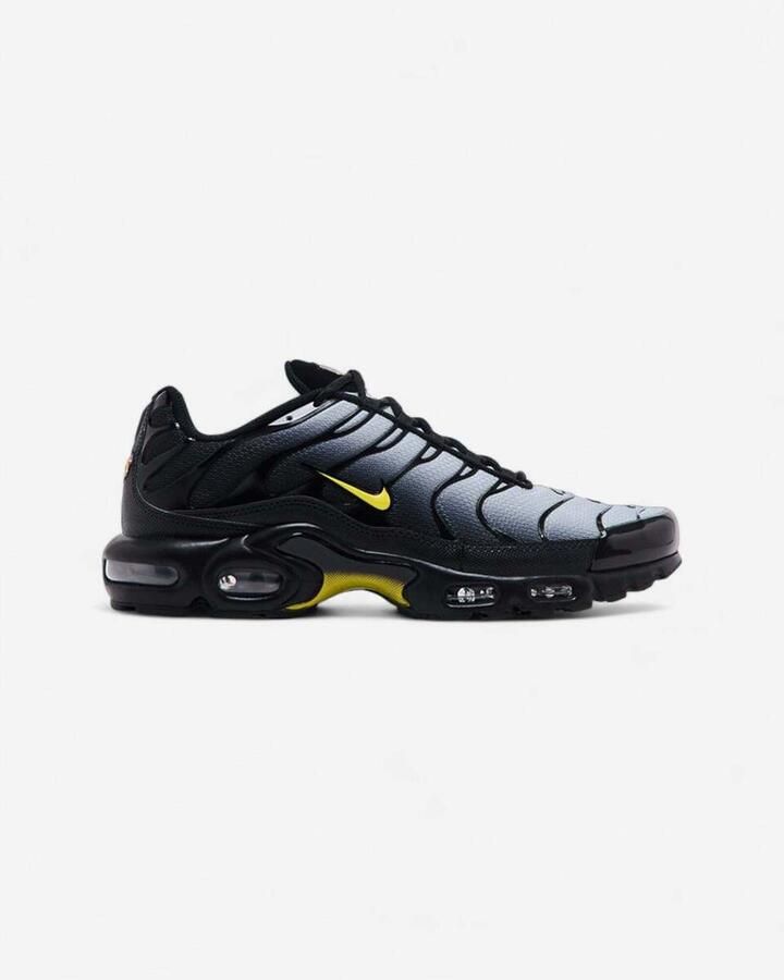 Nike Lage Sneakers Air Max Plus
