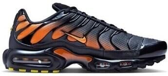 Nike Lage Sneakers Air Max Plus