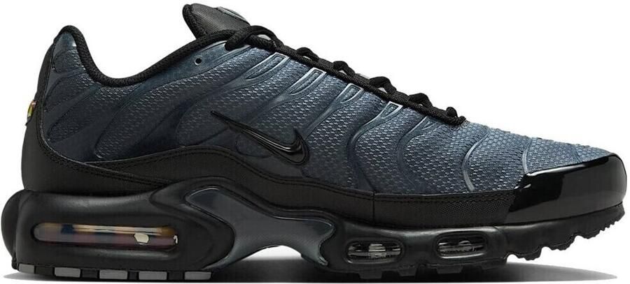 Nike Lage Sneakers Air Max Plus