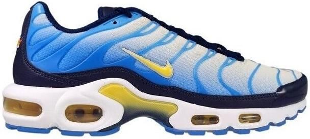Nike Lage Sneakers Air Max Plus TN