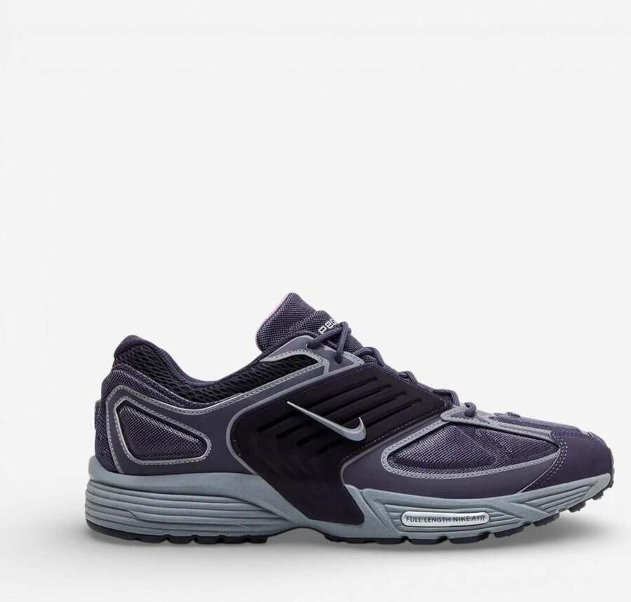 Nike Lage Sneakers Air Peg 2K5 "Dark Raisin"