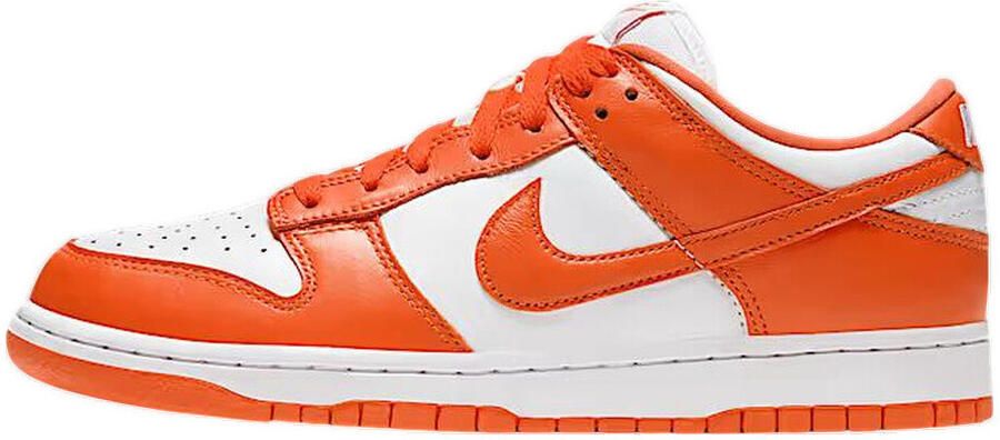Nike Lage Sneakers Baskets Dunk Low Special Edition cuir