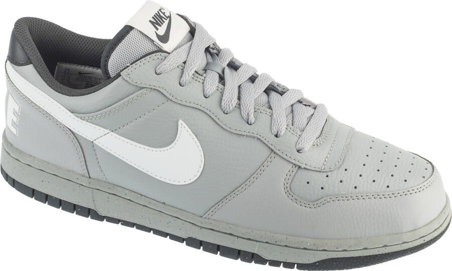 Nike Lage Sneakers Big Low