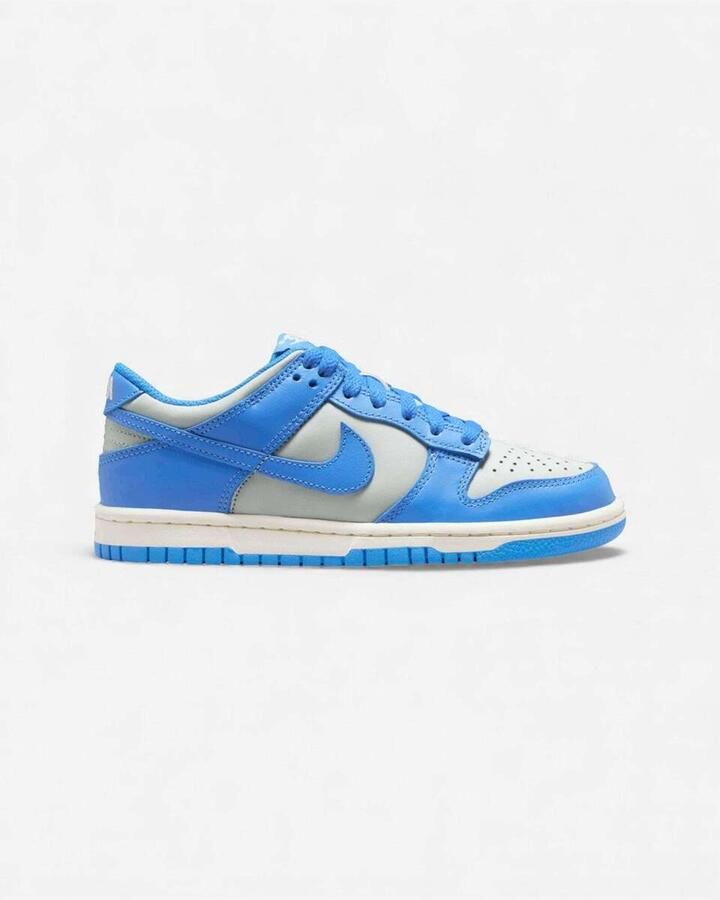 Nike Lage Sneakers Dunk Low Light Silver Sail Light Photo Blue (GS)