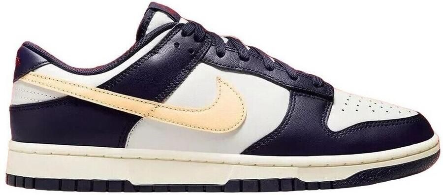 Nike Lage Sneakers Dunk Low Retro