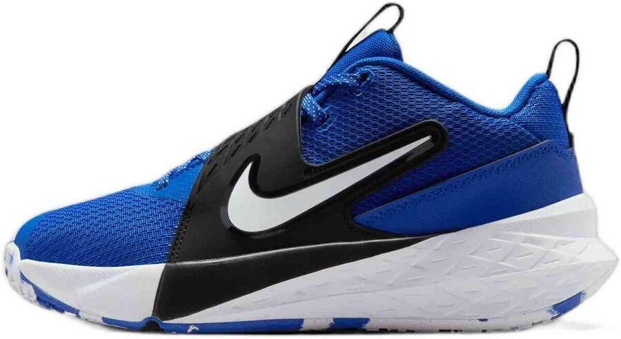 Nike Team Hustle D 12 basketbalschoenen voor kids Blauw