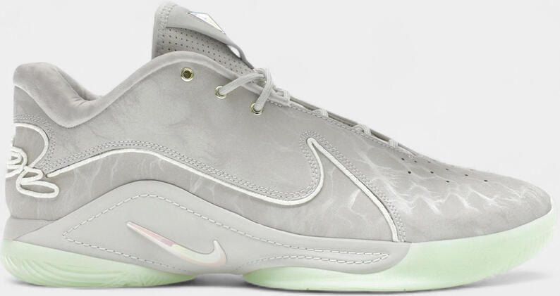 Nike Lage Sneakers LeBron 22 Dunk (Translucent Outsole)