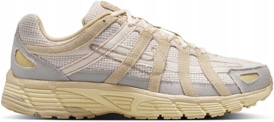 Nike Lage Sneakers P-6000
