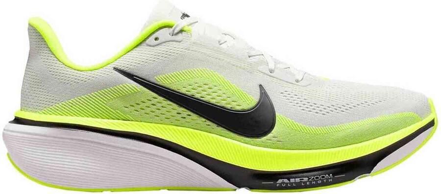 Nike Lage Sneakers Pegasus 42