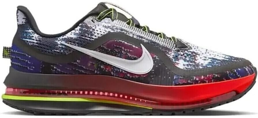 Nike Lage Sneakers Pegasus