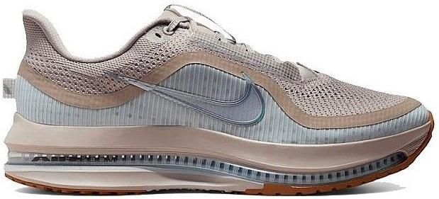 Nike Lage Sneakers Pegasus