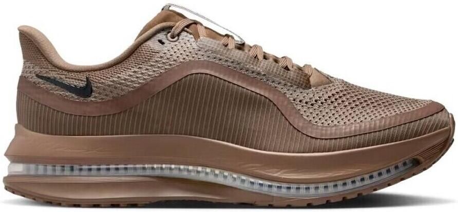 Nike Lage Sneakers Pegasus Premium