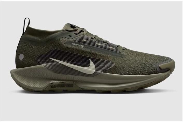 Nike Lage Sneakers Reactx Pegasus Trial 5 GTX SP