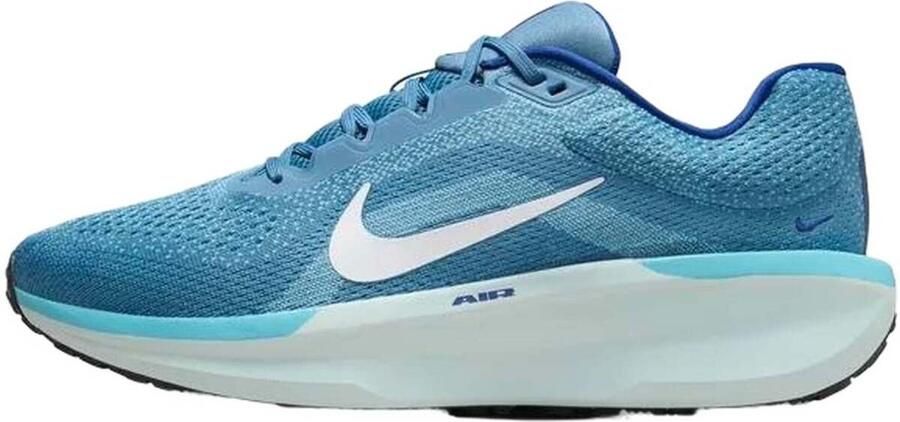 Nike Lage Sneakers Winflo 11