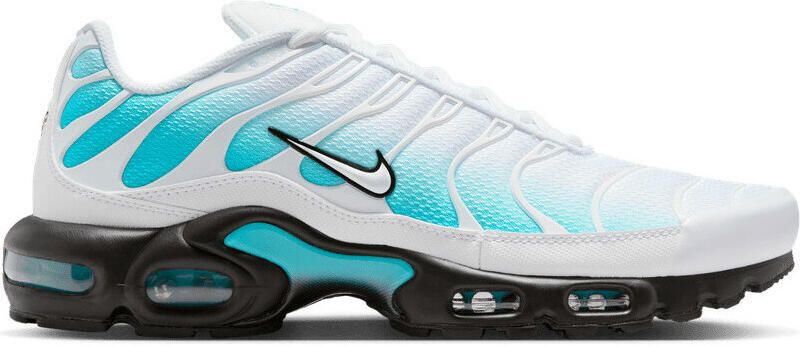 Nike Sneakers Air Max Plus Dusty Cactus