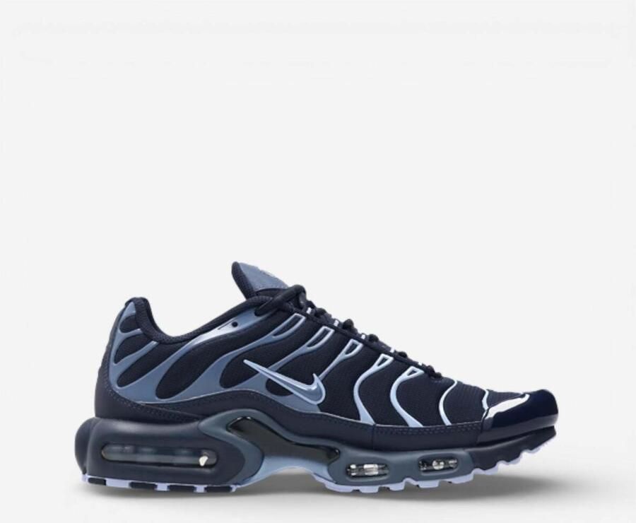 Nike Sneakers Air Max Plus Obsidian Aluminum