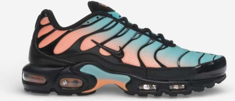 Nike Sneakers Air Max Plus South Beach