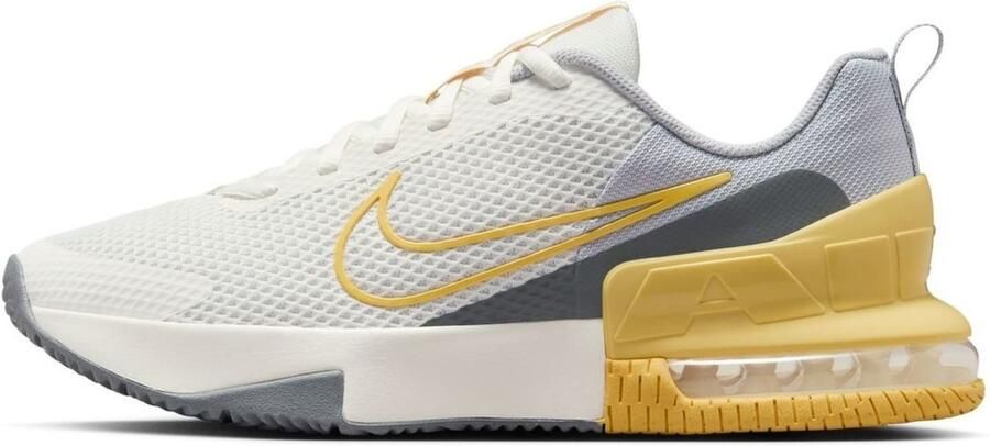 Nike Sportschoenen Air Max Alpha Trainer 6