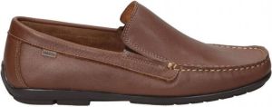 Nuper Nette Schoenen ZAPATOS 7901 CABALLERO TESTA