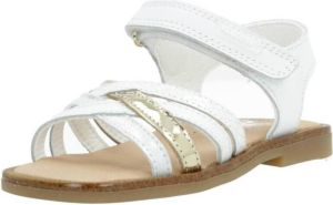 Pablosky Sandalen 030200P