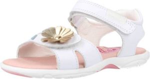 Pablosky Sandalen 031700P