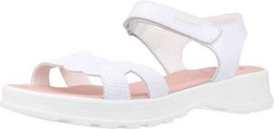 Pablosky Sandalen 416900P