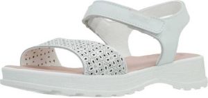Pablosky Sandalen 417200P